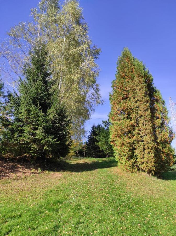 Vila Za Potokiem Solina  Exteriér fotografie