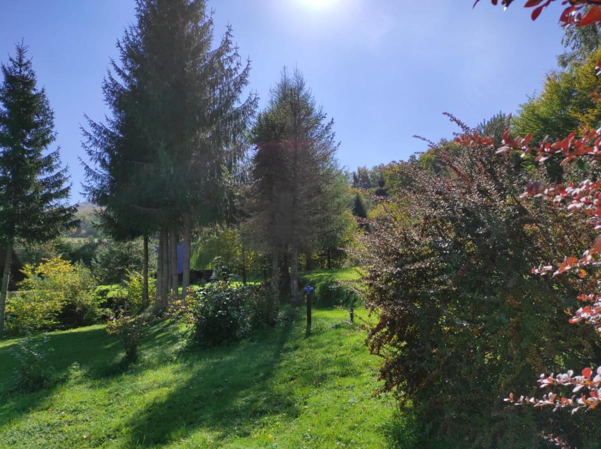 Vila Za Potokiem Solina  Exteriér fotografie
