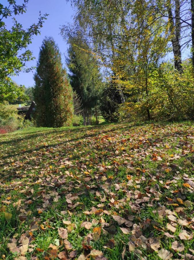 Vila Za Potokiem Solina  Exteriér fotografie