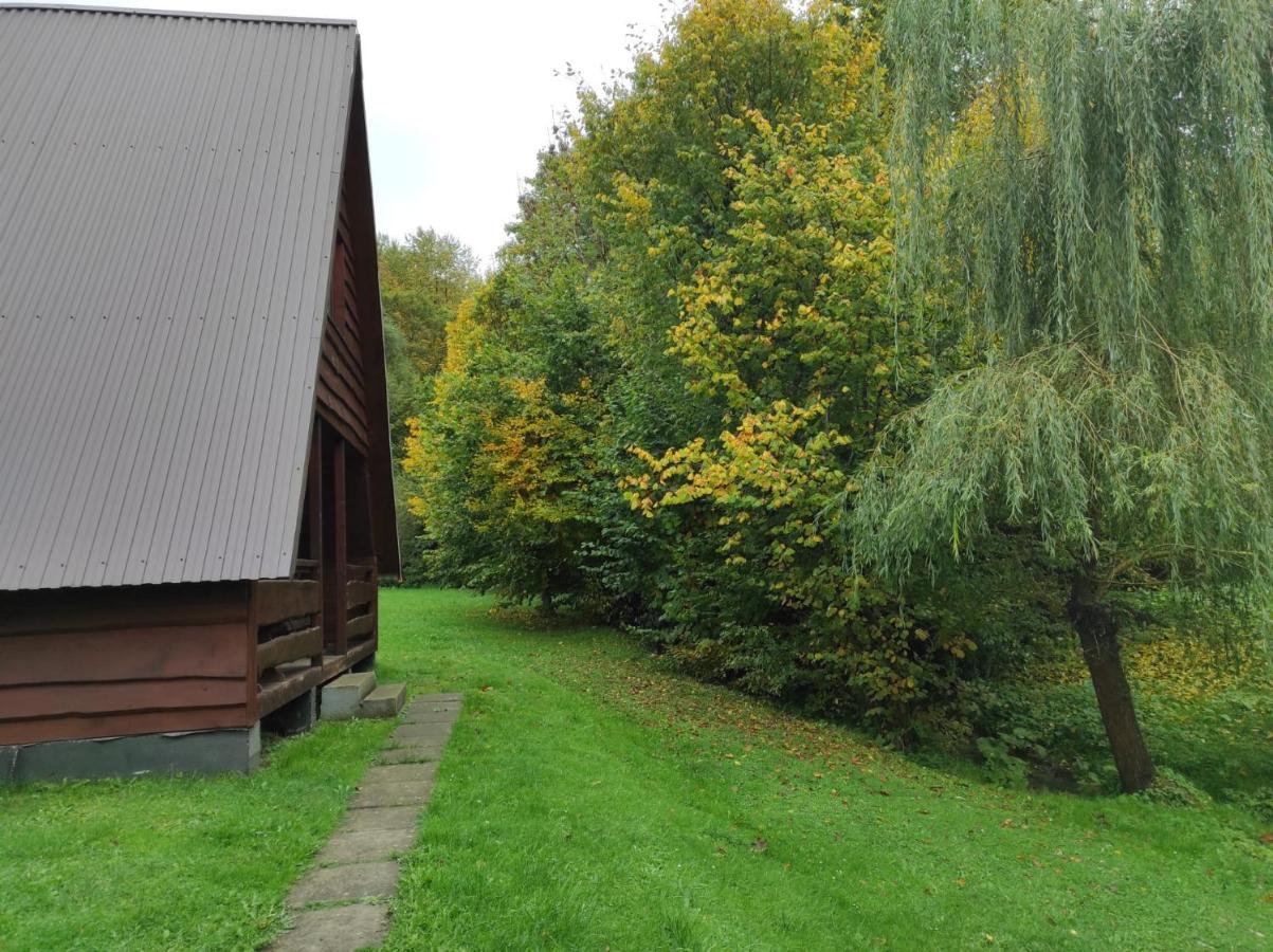 Vila Za Potokiem Solina  Exteriér fotografie
