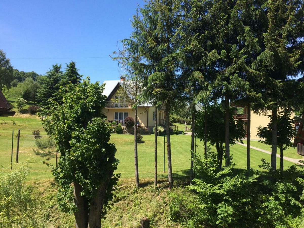 Vila Za Potokiem Solina  Exteriér fotografie