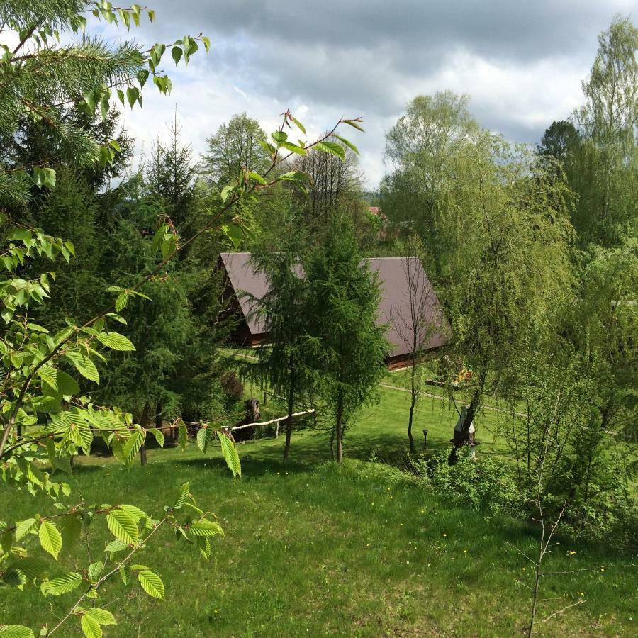 Vila Za Potokiem Solina  Exteriér fotografie